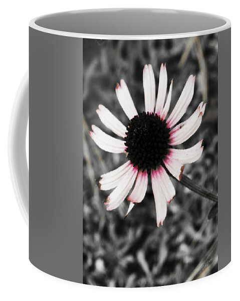 Flower Coffee Mug featuring the photograph Black Eyed by Deborah Crew-Johnson