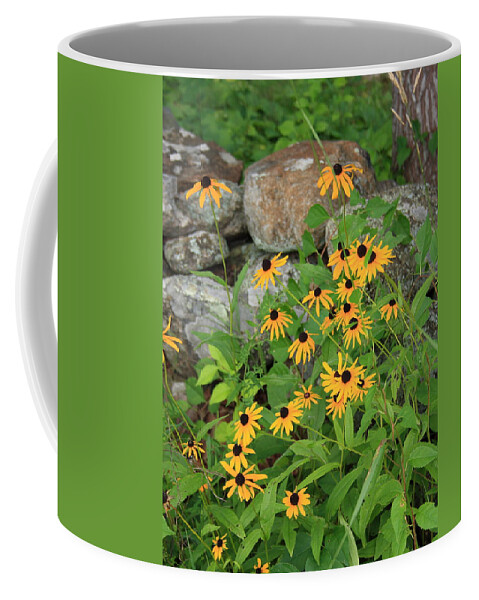 Landscape Coffee Mug featuring the photograph Black Eyed Susan by Doug Mills