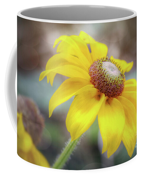 Black Eyed Susan Coffee Mug featuring the photograph Black Eyed Susan by Sharon McConnell