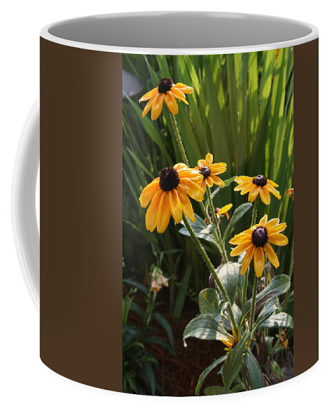 Flowers Coffee Mug featuring the photograph Black-Eyed Susans by Greg Joens