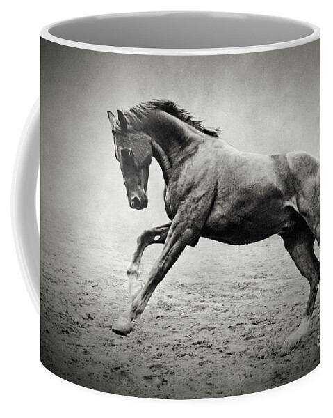 Horse Coffee Mug featuring the photograph Black horse in dust by Dimitar Hristov