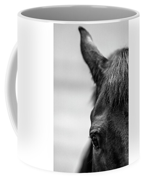 Horse Coffee Mug featuring the photograph Black horse by Mike Santis