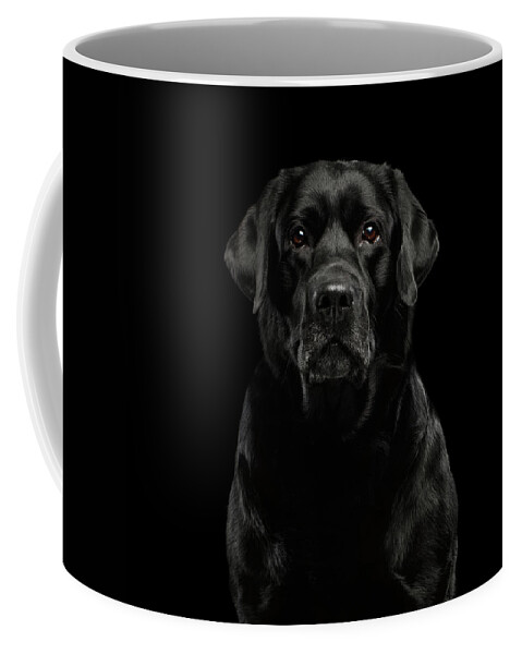 Winks Coffee Mug featuring the photograph Black Labrador by Sergey Taran