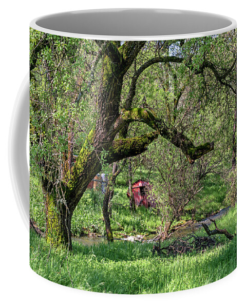 Black Oak Coffee Mug featuring the photograph Black Oak and Creek by Jim Thompson