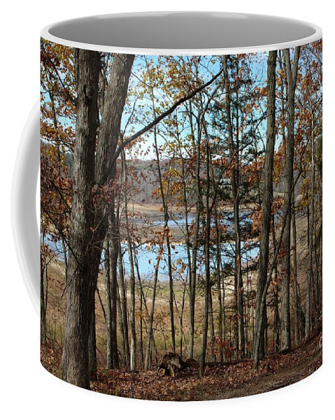 Black Coffee Mug featuring the photograph Black Rock Flats From the Mary Ann by Donald C Morgan