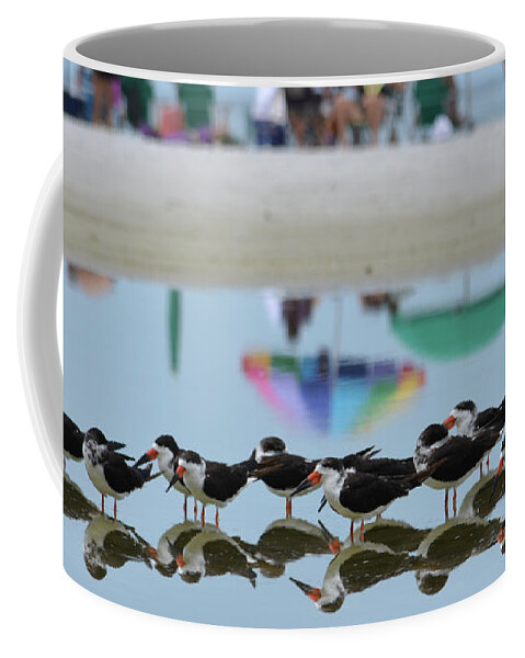 Bird Coffee Mug featuring the photograph Black Skimmers Enjoying the Beach by Artful Imagery
