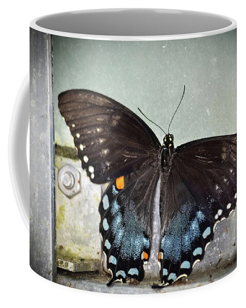 Butterfly Coffee Mug featuring the photograph Black Swallowtail on Window by Artful Imagery