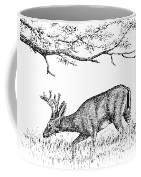 Black Tail Deer Coffee Mug featuring the drawing Black Tail In Velvet by Timothy Livingston