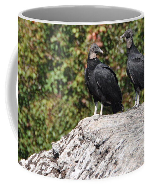 #black Vultures Coffee Mug featuring the photograph Black Vultures by Cornelia DeDona