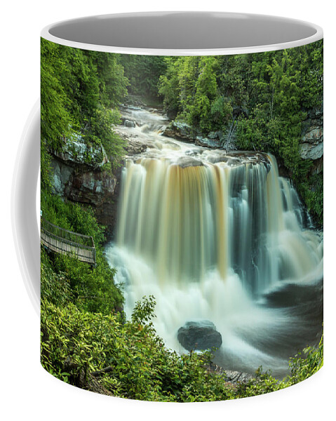 Blackwater Falls Coffee Mug featuring the photograph Blackwater Falls by Chris Berrier