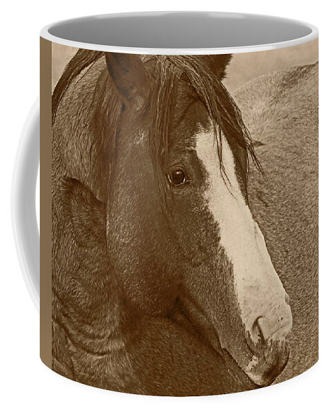 Horse Coffee Mug featuring the photograph Blaze N Gray by Amanda Smith