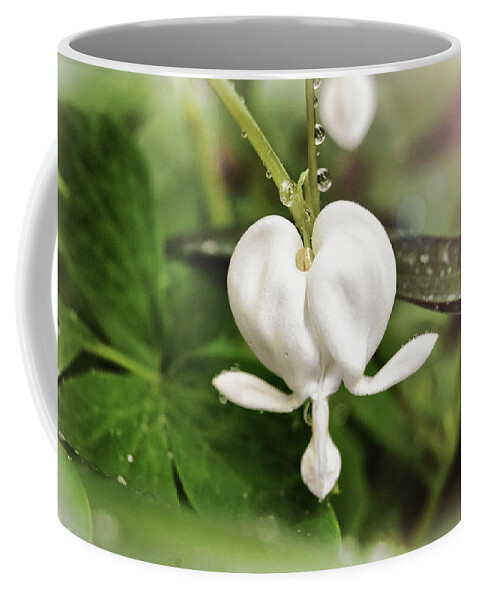 White Coffee Mug featuring the photograph Bleeding Heart by Amber Flowers