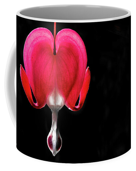 Asian Bleeding-heart Coffee Mug featuring the photograph Bleeding heart by Torbjorn Swenelius