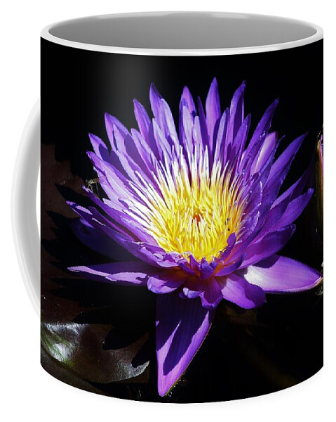 Nature Coffee Mug featuring the photograph Blooming Beauty by Bruce Bley