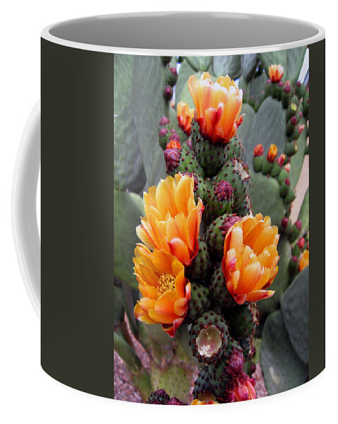 Cactus Coffee Mug featuring the photograph Blooming Cactus by Harvie Brown