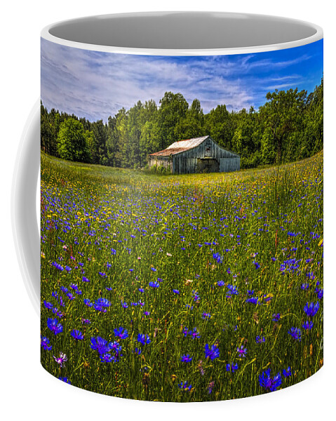 Barns Coffee Mug featuring the photograph Blooming Country Meadow by Marvin Spates