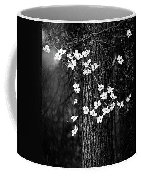 Yosemite Coffee Mug featuring the photograph Blooming Dogwoods in Yosemite Black and White by Larry Marshall