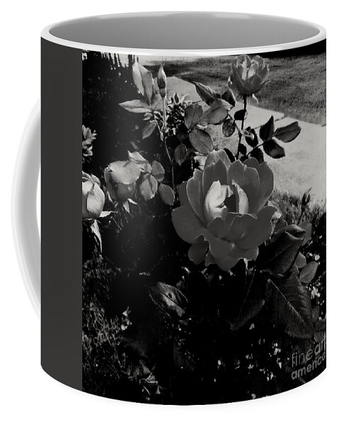 Flower Coffee Mug featuring the photograph Blooming Flower in Black and White by Frank J Casella