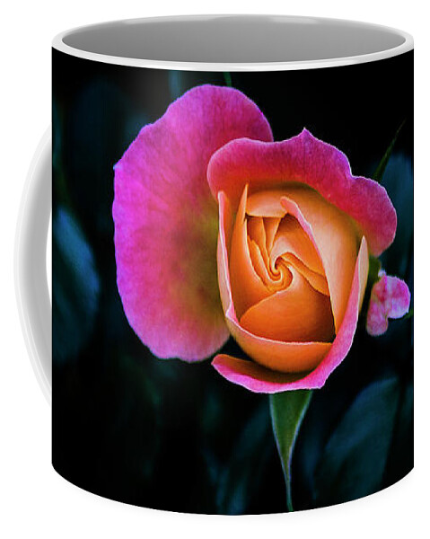 Rose Coffee Mug featuring the photograph Blooming by Jennifer Walsh