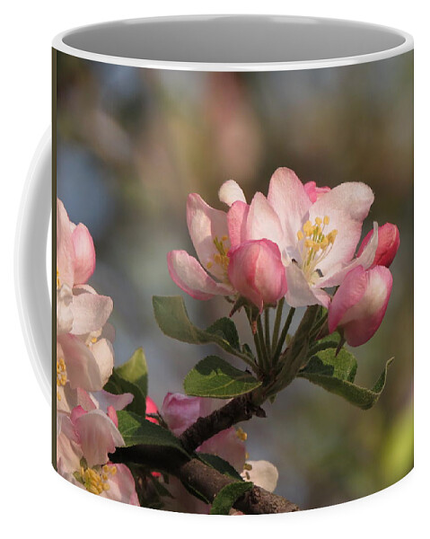  Coffee Mug featuring the photograph Blooming by Kimberly Mackowski