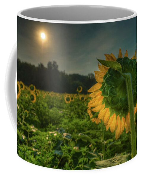 Bloom Coffee Mug featuring the photograph Blooming Sunflower facing Rising Sun by Dennis Dame