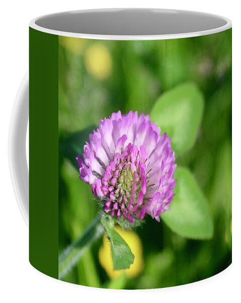 Photograph Coffee Mug featuring the photograph Blooming Wild Clover by M E