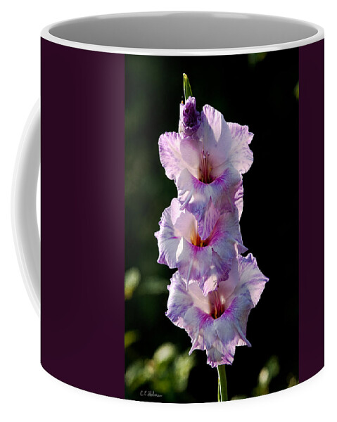 Blooms Coffee Mug featuring the photograph Blooms on a Stick by Christopher Holmes
