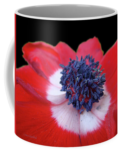 Red Flower Coffee Mug featuring the photograph Blossoming Freedom by Donna Blackhall