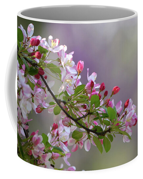 Flower Coffee Mug featuring the photograph Blossoms and Bokeh by Ann Bridges