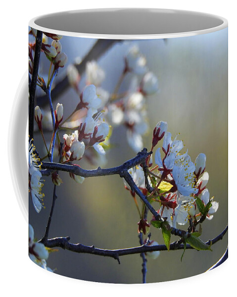 Tree Coffee Mug featuring the photograph Blossoms by Betty-Anne McDonald