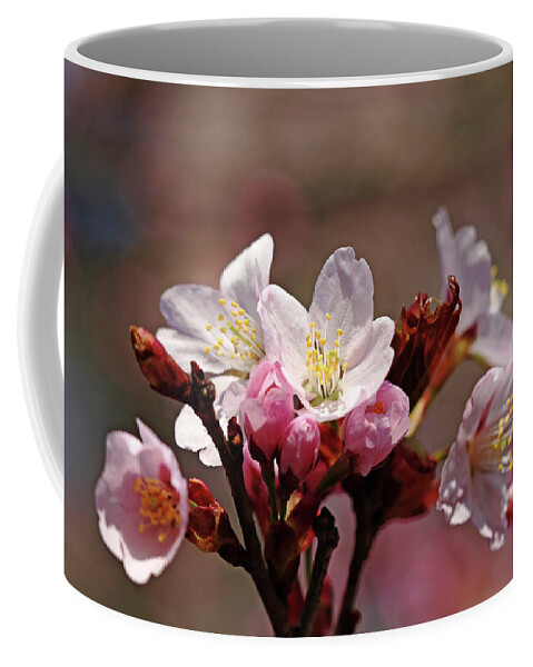 Cherry Blossoms Coffee Mug featuring the photograph Blossoms Bouquet by Debbie Oppermann