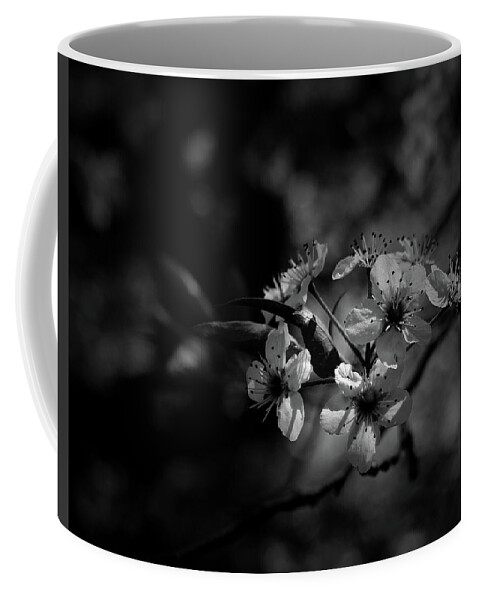 Black And White Coffee Mug featuring the photograph Blossoms by Karen Harrison Brown