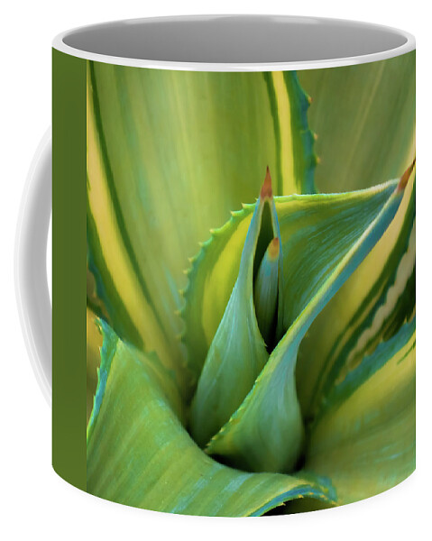 Blue Agave Coffee Mug featuring the photograph Blue Agave by Karen Wiles
