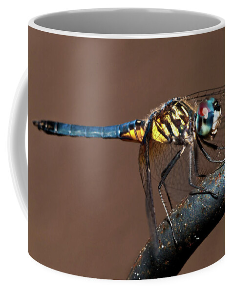 Dragonfly Coffee Mug featuring the photograph Blue and Gold Dragonfly by Christopher Holmes