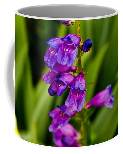  Coffee Mug featuring the photograph Blue Bells Wild Flower by James Gay