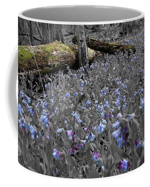 Fallen Tree Coffee Mug featuring the photograph Blue Comfort by Dylan Punke