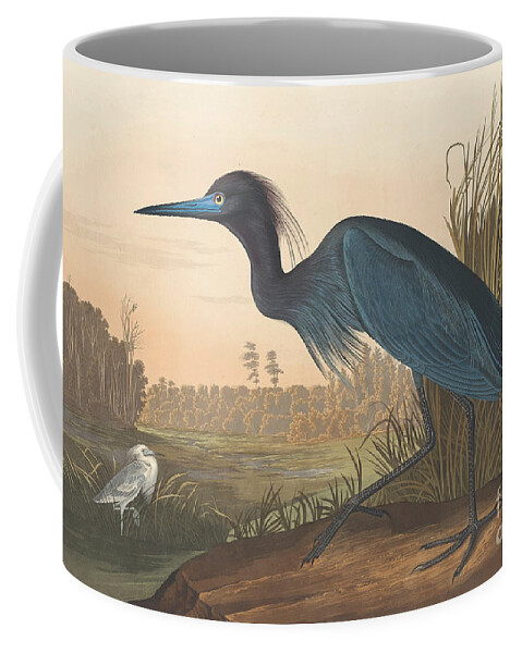 Audubon Coffee Mug featuring the painting Blue Crane or Heron by John James Audubon