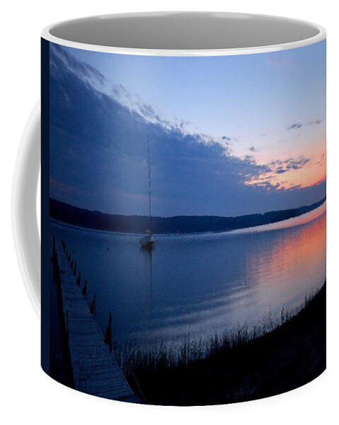 Pelican Coffee Mug featuring the photograph Blue Downtime by Michael Thomas