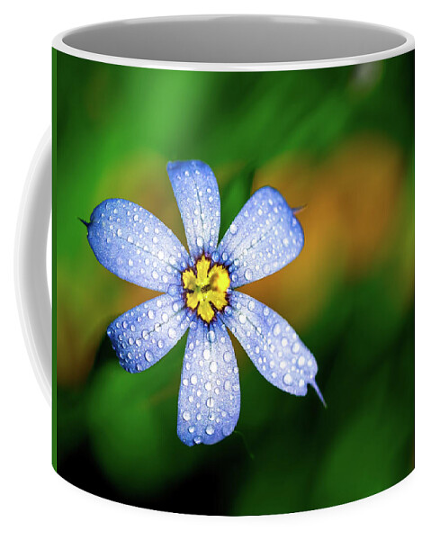 Flower Coffee Mug featuring the photograph Blue Eyed Grass Flower covered in Droplets by Brad Boland