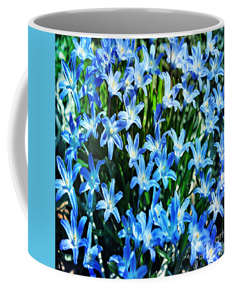Blue Glory Snow Flowers Coffee Mug featuring the photograph Blue Glory Snow Flowers by Judy Palkimas