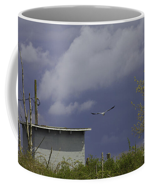 Landscape Coffee Mug featuring the photograph Blue Heron in the sky by Donna L Munro