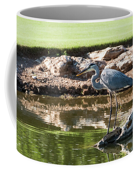 18th Hole Coffee Mug featuring the photograph Blue Heron by John Johnson
