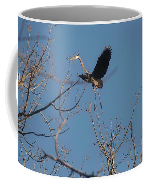 Great Blue Heron Coffee Mug featuring the photograph Blue Heron Landing by David Bearden
