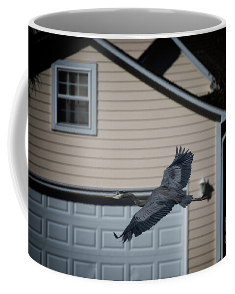 Blue Heron Coffee Mug featuring the photograph Blue Heron Soaring by Dale Powell