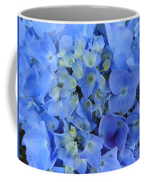 Hydrangeas Coffee Mug featuring the photograph Blue Hydrangea by Scott Cameron