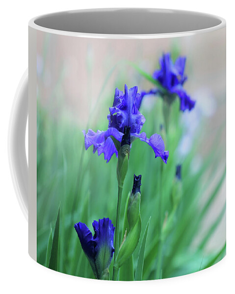 Blue Irises Coffee Mug featuring the photograph Blue Irises by Angela Murdock