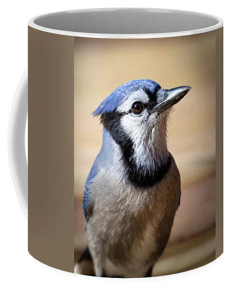 Blue Jay Coffee Mug featuring the photograph Blue Jay Portrait by Al Mueller