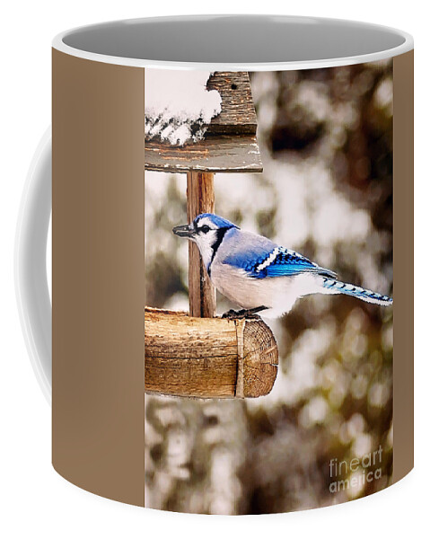 Blue Bird Coffee Mug featuring the photograph Blue Jay Wildlife by Gwen Gibson