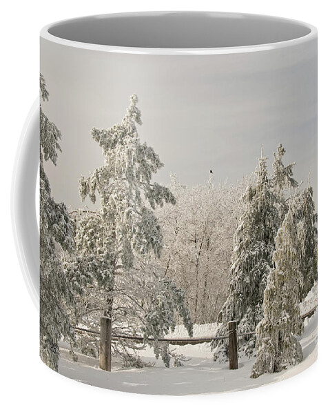 Winter Coffee Mug featuring the photograph Blue Knob Winter by Lois Bryan