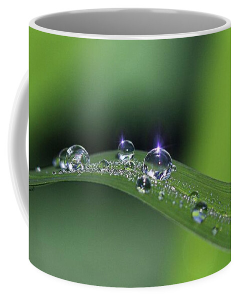 Droplets Coffee Mug featuring the photograph Blue light on the Droplets by Yumi Johnson